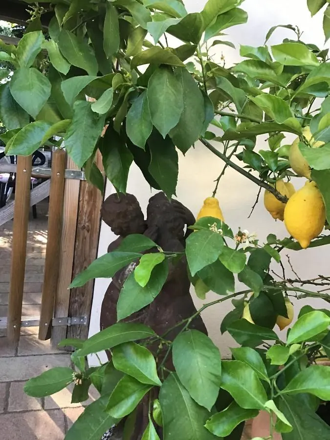 Apartment Ferienwohnung Lechraum in Waal Deutschland